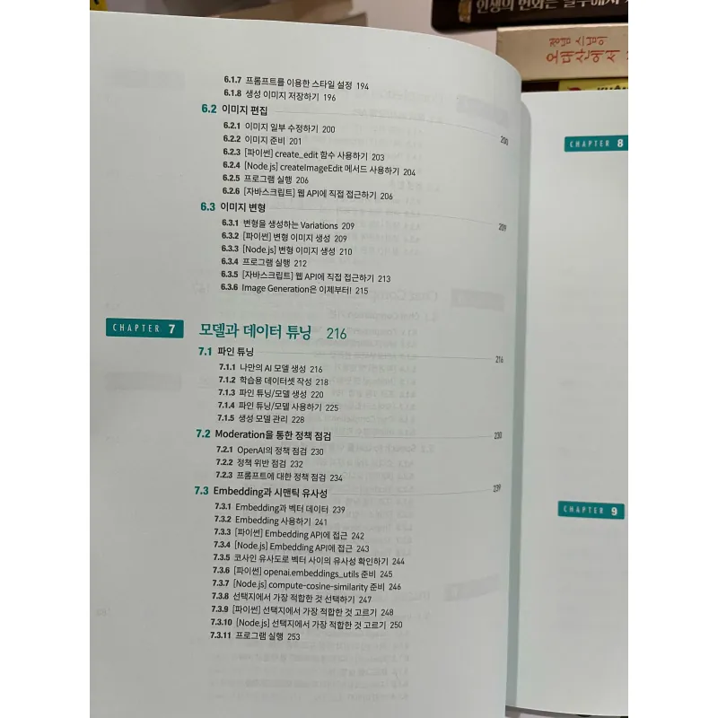 파이썬과 자바스크립트로 배우는 OpenAI 프로그래밍 788943