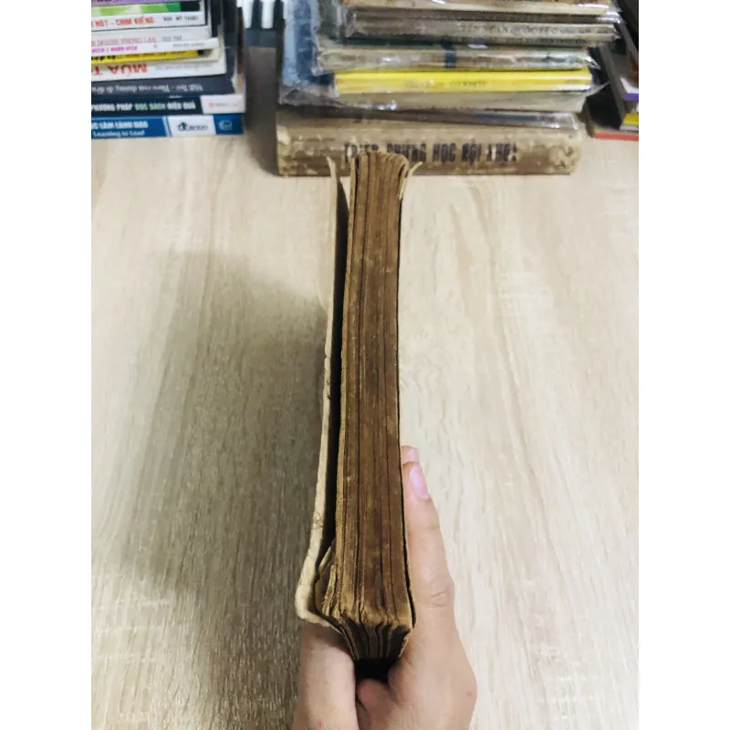 NGÔN NGỮ VĂN MINH PHÁP ( tập 2) 1031524