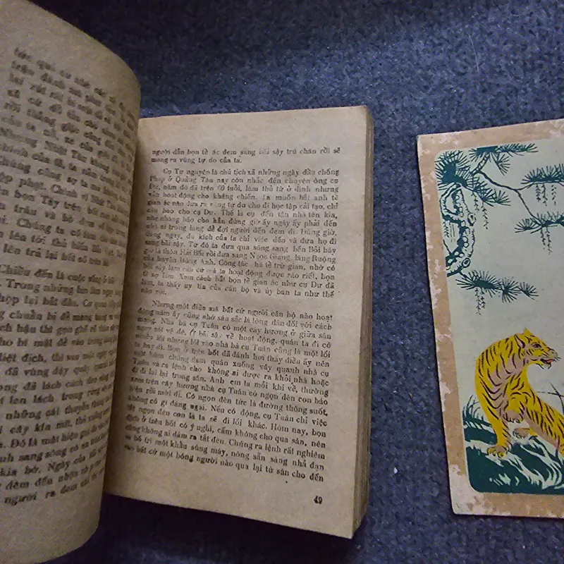 Nhà đồi - quang dũng 748544