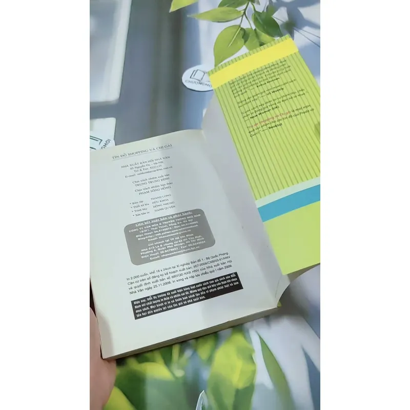 Tín Đồ Shopping Và Chị Gái - Sophie Kinsella 744775