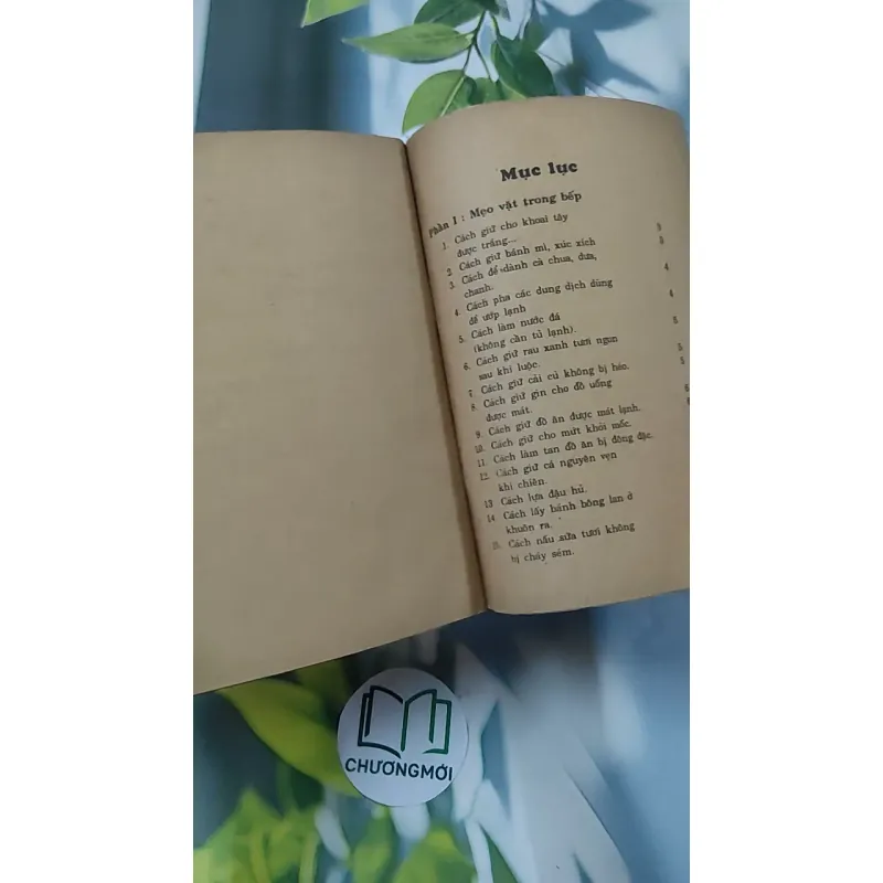 [XƯA] Mẹo Vặt Gia Đình (1992) - Hồng Điệp 776014