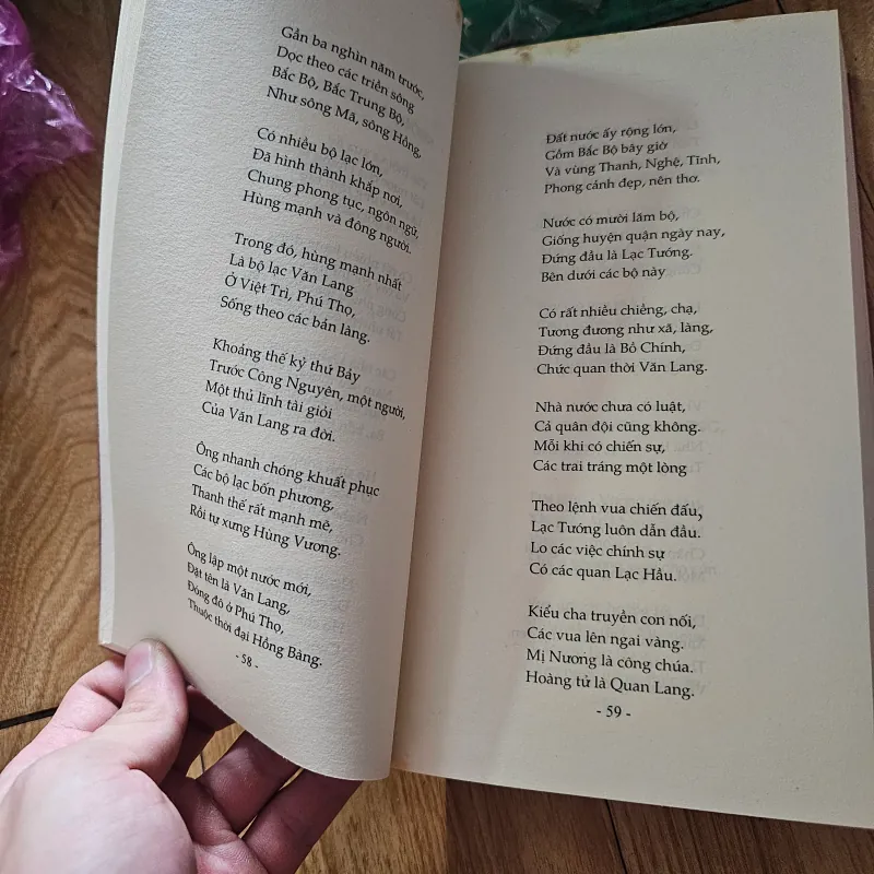 Việt Nam lược sử diễn ca
 756612