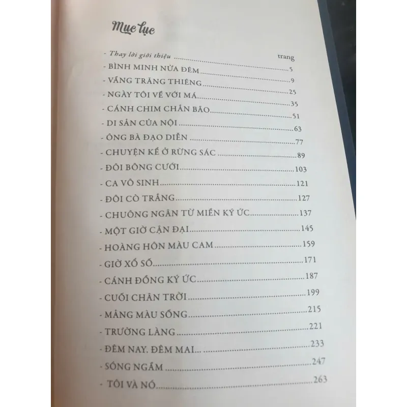 Bình Minh Nửa Đêm 736331