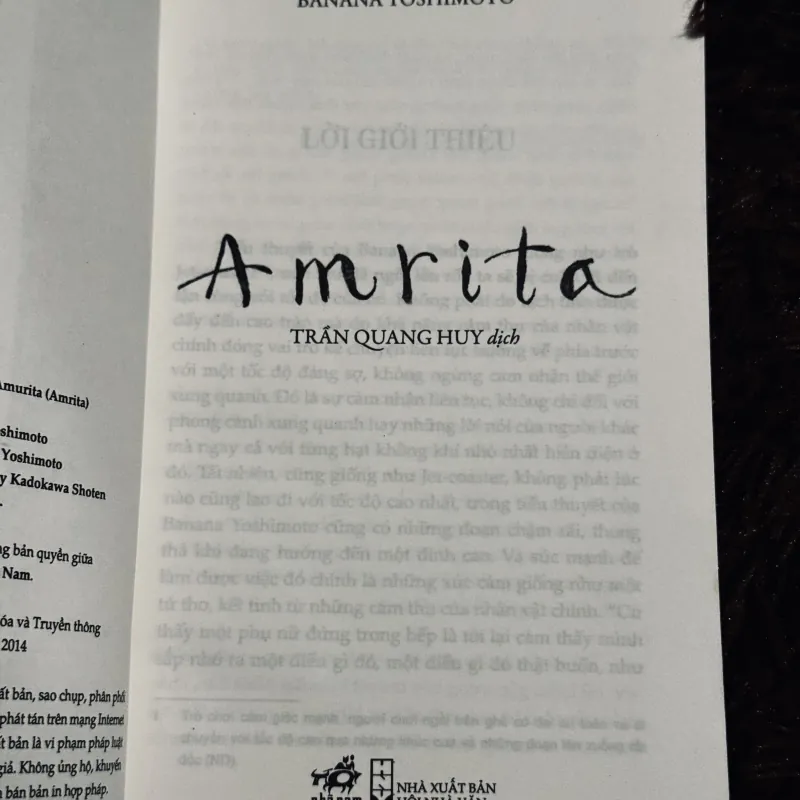 Amrita - Banana Yoshimoto 763389