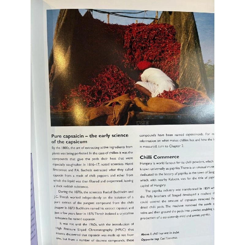 The hot book of chillies - David Floyd 927583