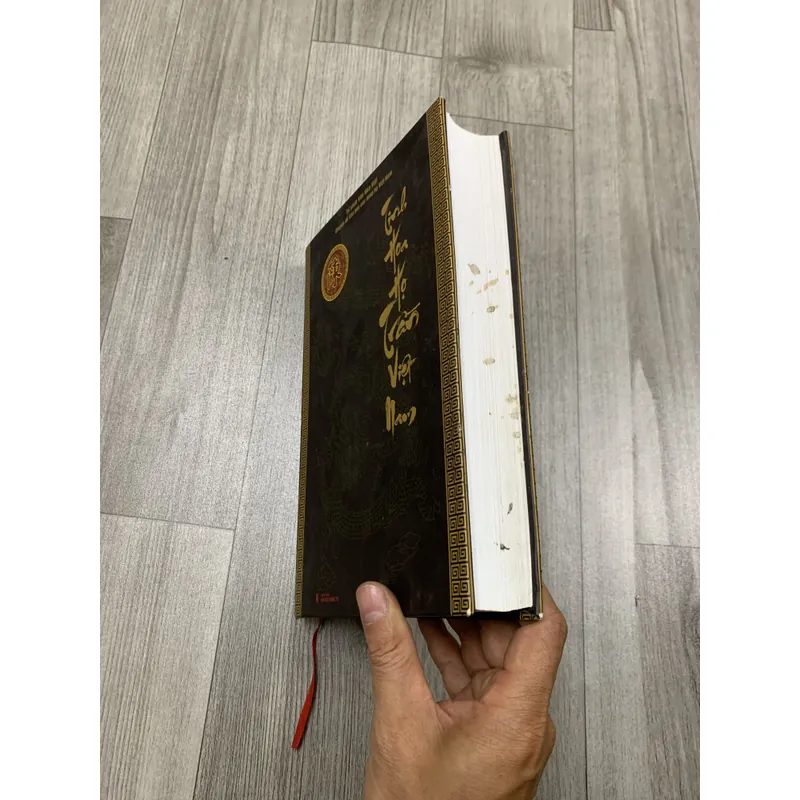 Tinh hoa họ trần việt nam. 5a1 719475