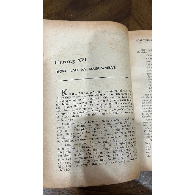 Ngài tổng tống - Miguel Angel 1045541
