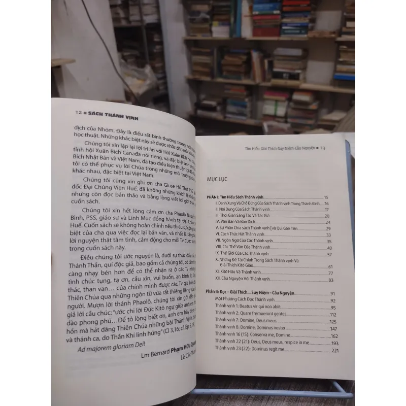 Sách Thánh Vịnh - Tiềm hiểu, giải thích, suy niệm, cầu nguyện 717096