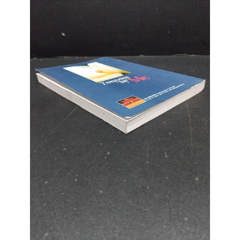 Trong vòng tay mẹ Mặt Nhân Đạo Quang mới 80% ố nhẹ 2009 HCM.ASB0609 916626