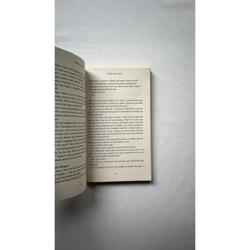 Hide and Seek - Andrea Mara 1028877