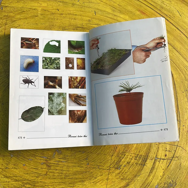 BONSAI TOÀN THƯ - HARRY TOMLINSON 735725