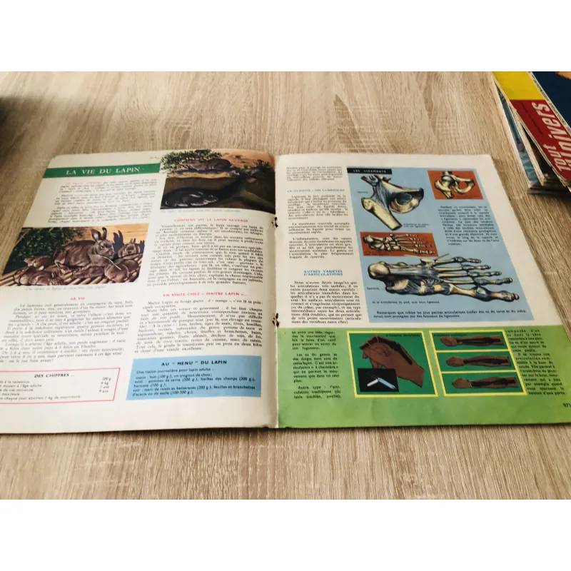 TẠP CHÍ TOUT L’UNIVERS – 1962 (12) 1017791