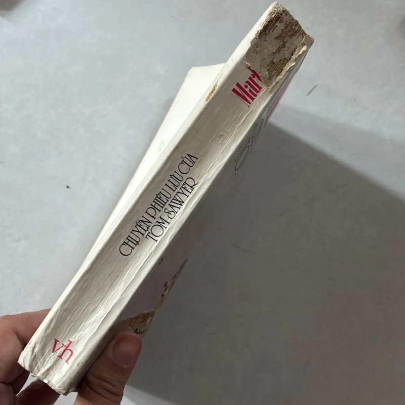 Chuyển phiêu lưu của Tom Sawyer 748148