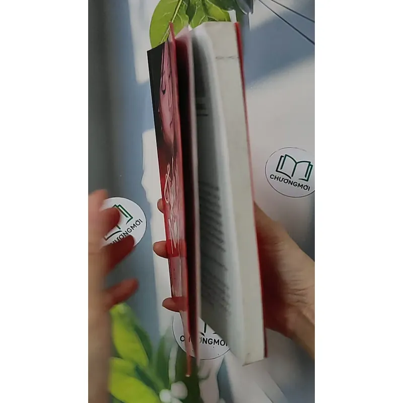 Tình yêu nồng cháy - Sái Cần Cần 688658