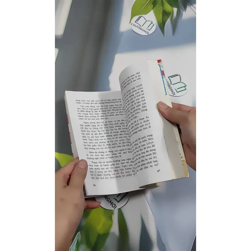 Dựng Vợ Gả Chồng - Hôn Lễ Và Nghi Thức - Phạm Côn Sơn 776172