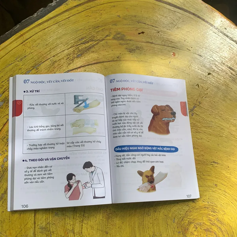 COMBO SƠ CỨU 360 & KỸ NĂNG SƠ CỨU FIRST AID 739496