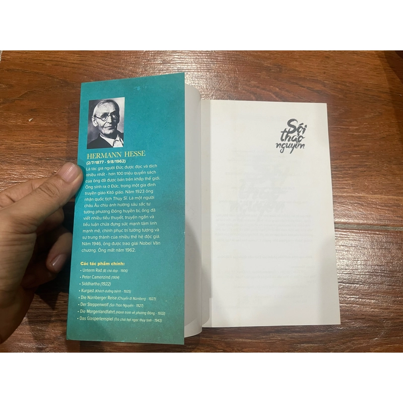 SÓI THẢO NGUYÊN - HERMANN HESSE (k1) 538046