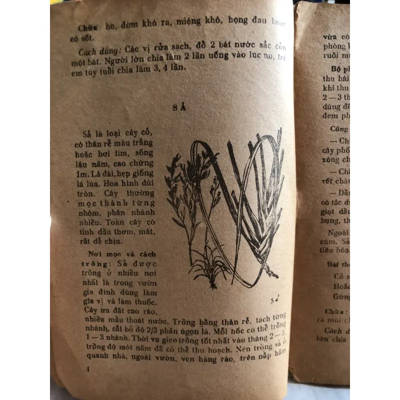 Cây thuốc gia đình - Đỗ Huy Bích  1010155