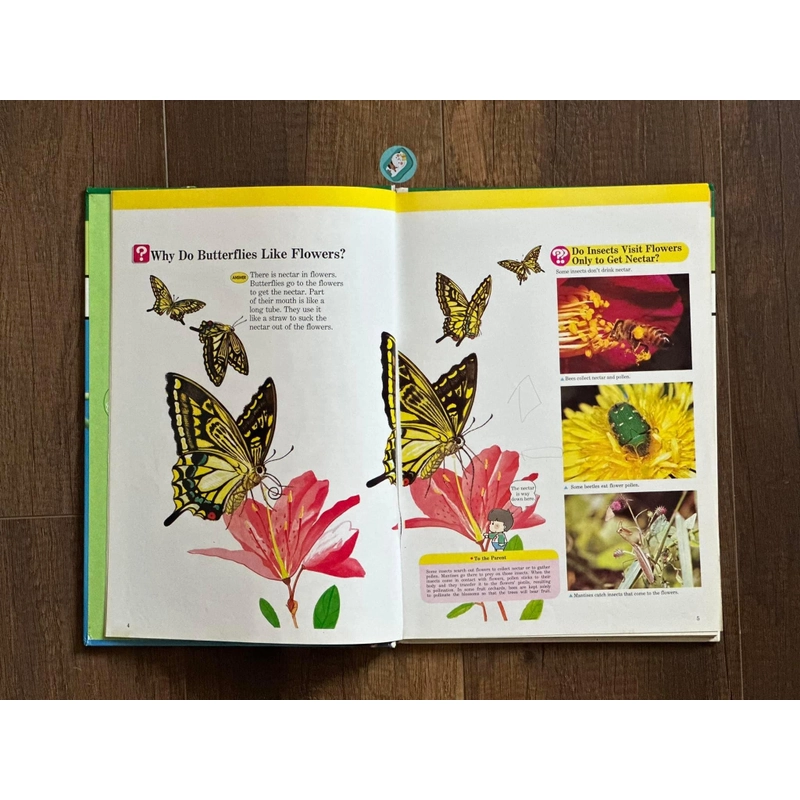 [Bìa cứng] INSECT WORLD (A Child’s First Library of Learning) 224287