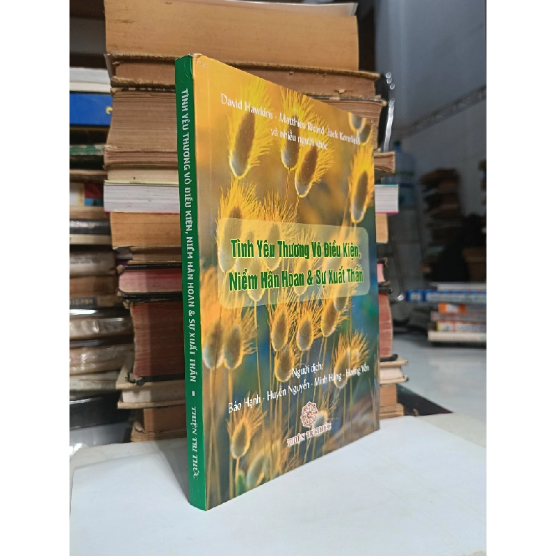 Tình yêu thương vô điều kiện, niềm hân hoan & sự xuất thần - Nhiều tác giả 536934