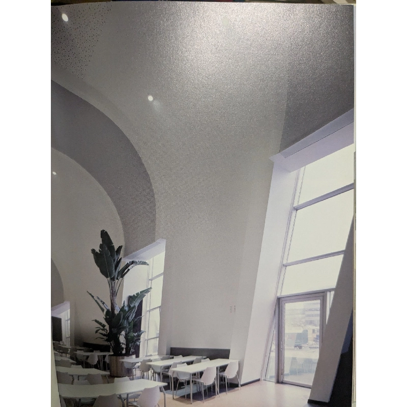 New Residential Architecture: Radical Approaches to Contemporary Housing - Will Jones 711594