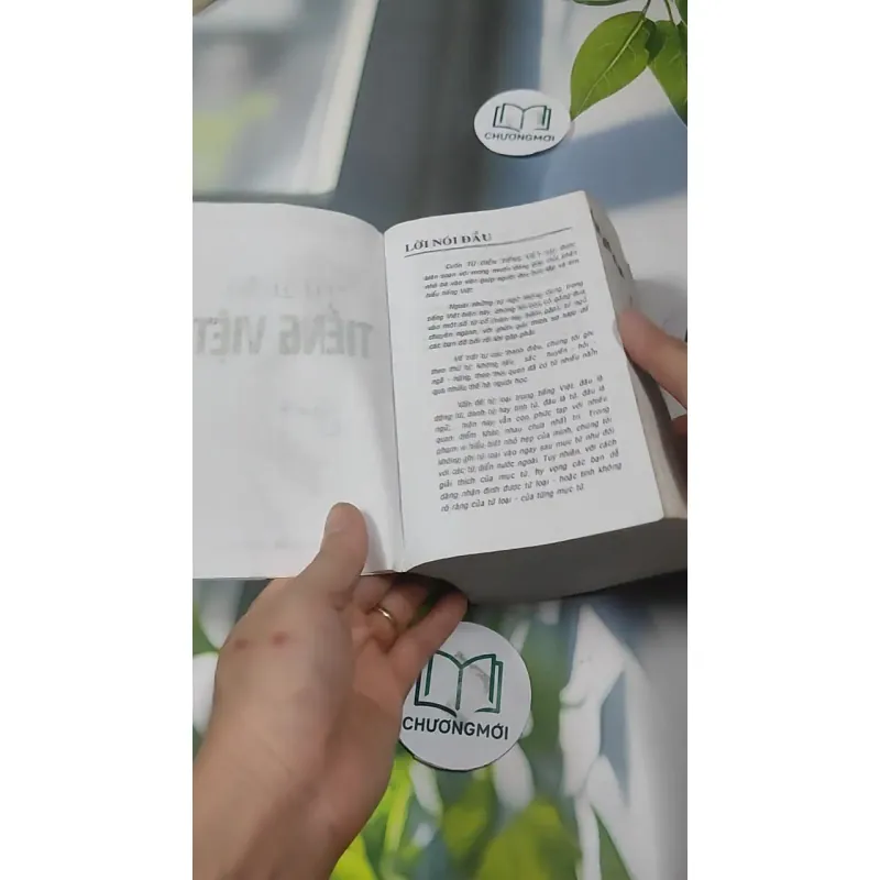 Từ Điển Tiếng Việt 727391