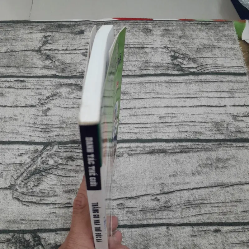 Thằng gù nhà thờ Đức Bà-phiên bản Truyện tranh. Nguyên tác Victo Hugo 706189