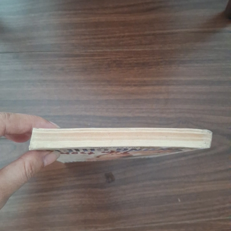 Tìm trong sương chiều 536650
