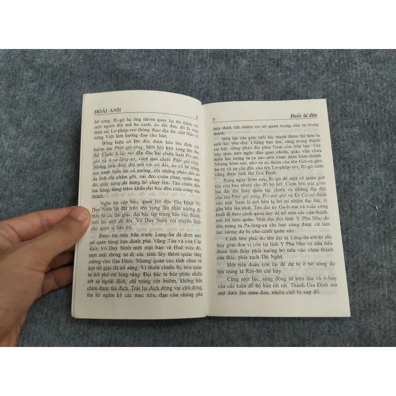 ĐUỐC LÁ DỪA - HOÀI ANH 567753