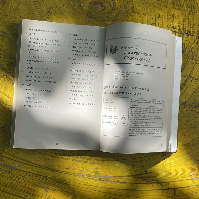 UNDERSTANDING AND USING ENGLISH GRAMMAR- BETTY SCHRAMPFER AZAR 702039