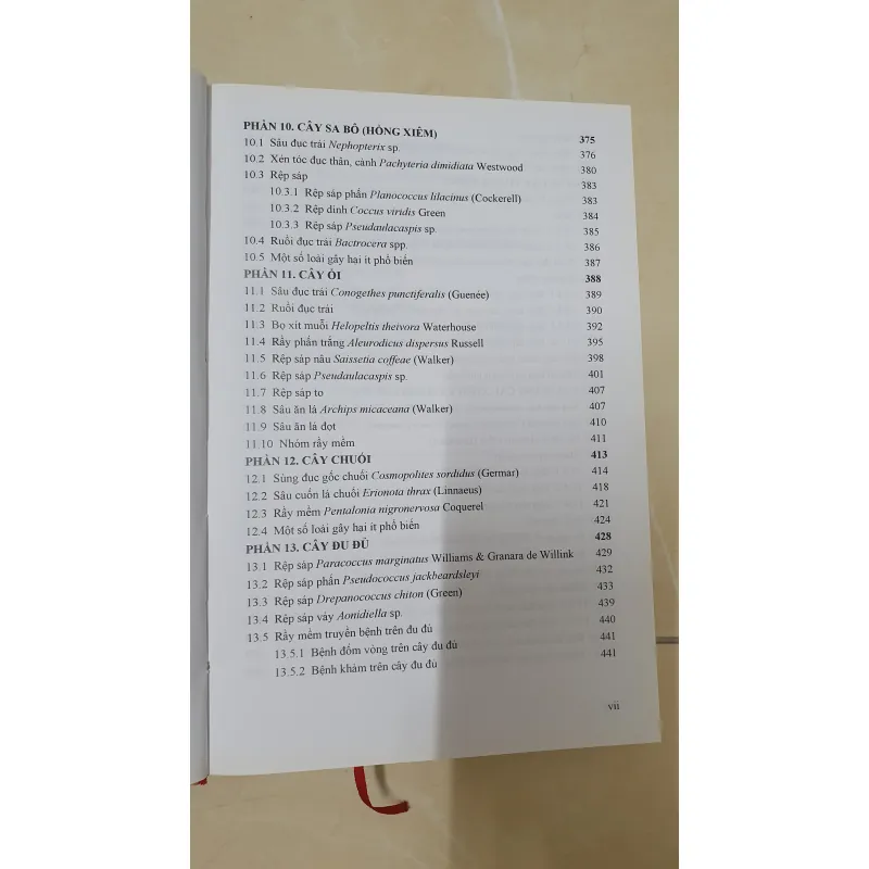 CÔN TRÙNG NHỆN GÂY HẠI CÂY ĂN TRÁI....  799628