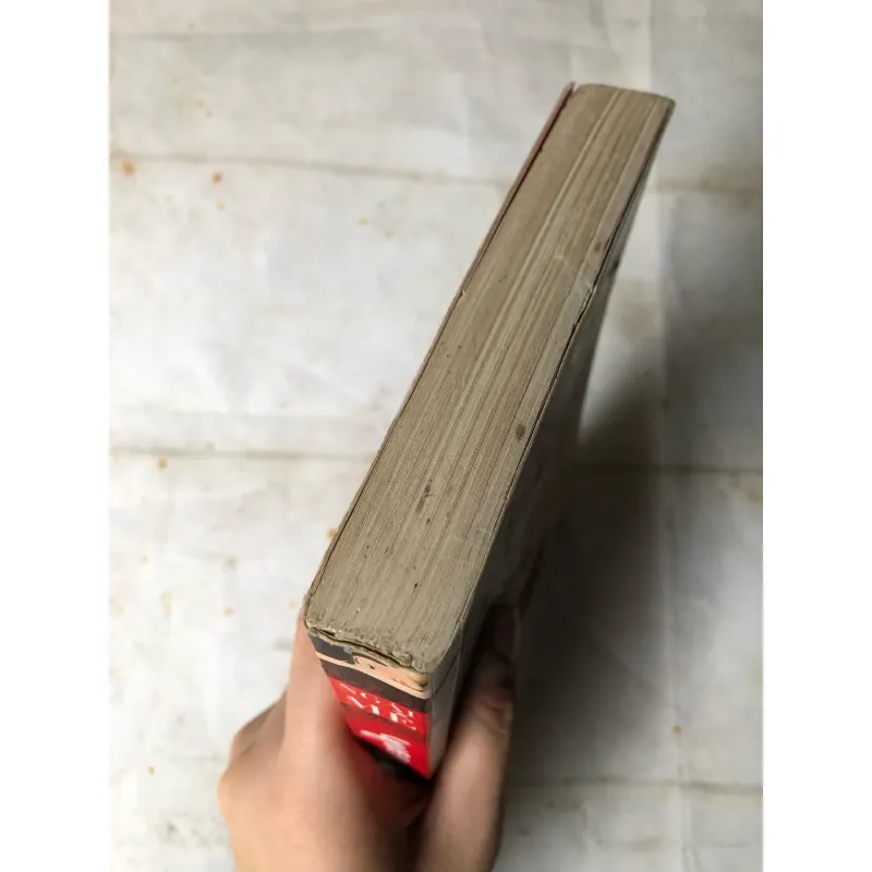 Mơ Về Phía Anh - Ngải Mễ 735806