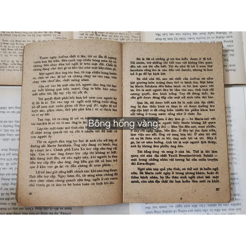 Konstantin Georgiyevich Paustovsky - tập truyện ngắn BÔNG HỒNG VÀNG 709260