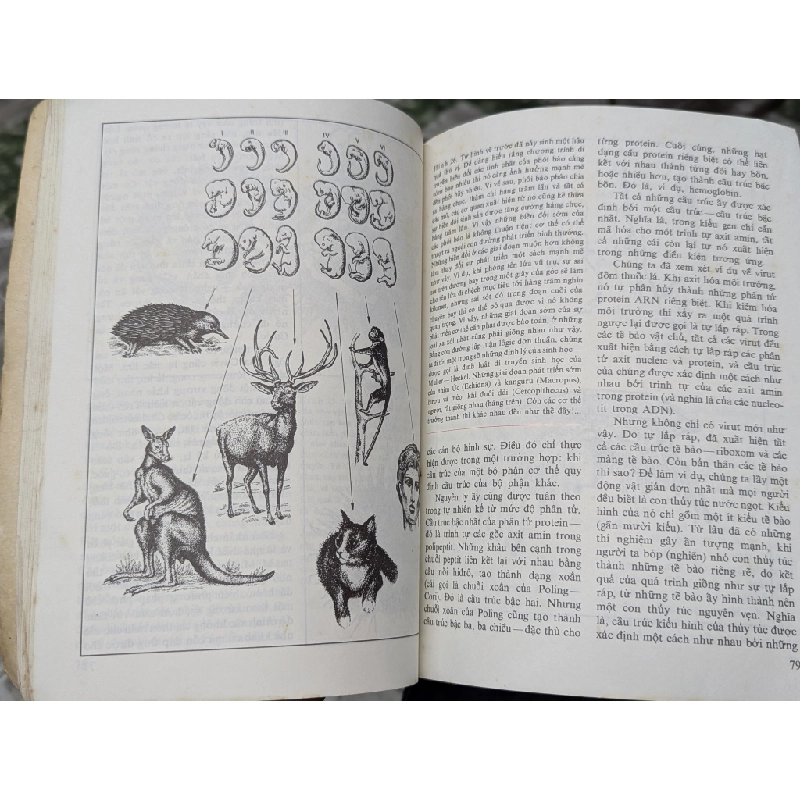 Những tiên đề của sinh học - B.M. Međnikov 126689