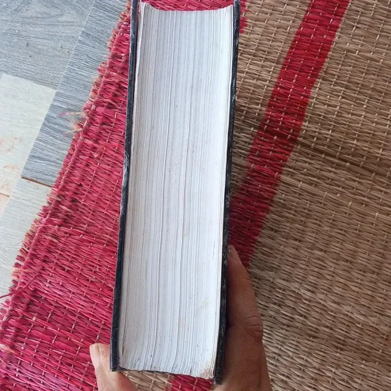 Thực Trạng Châu Au  1029989