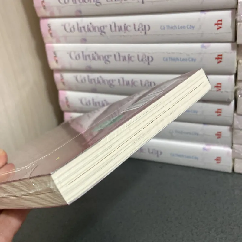 (Light novel) - Belle Rồng và công chúa tàn nhang - Mamoru Hosoda 990672