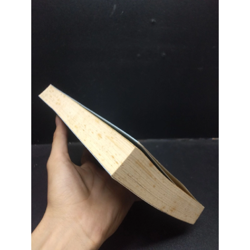 Những nét văn hóa đạo Phật Hoà Thượng Phụng 2015 Sơn Mới 70% ố vàng HCM.ASB0309 448267