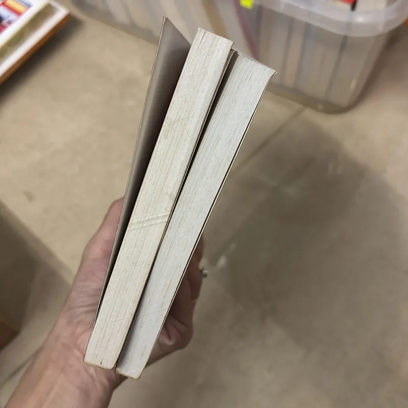 Sách Bạn muốn thành công/ Học viện thành công - OG MANDINO 712457