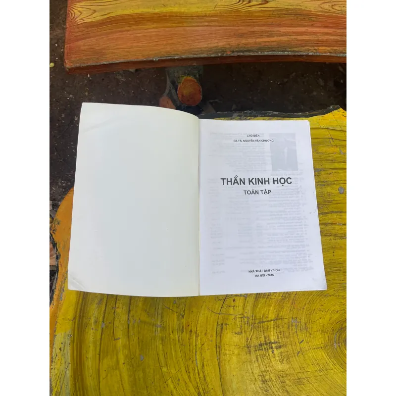 THẦN KINH HỌC TOÀN TẬP - CHỦ BIÊN GS.TS. NGUYỄN VĂN CHƯƠNG 729195