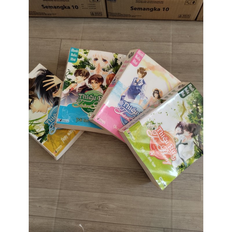 Bộ truyện "Thiếu nữ toàn phong" gồm có 4 tập 70006