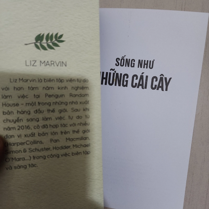 Sách Sống như những cái cây của Liz Marvin mới 95% 538234