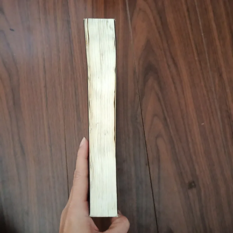 Hoomdeus lược sử tương lai 756811