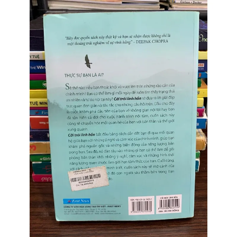 Cởi Trói Linh Hồn – Michael A. Singer 576022