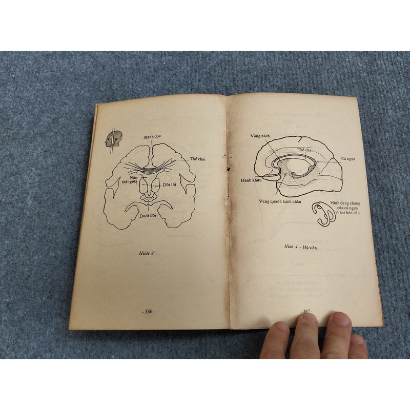 TỪ ĐIỂN TÂM LÝ 495362