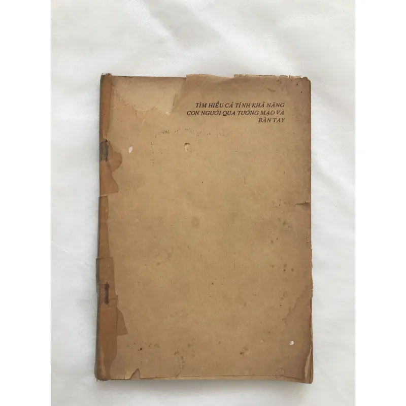 Tìm Hiểu Cá Tính Khả Năng Con Người Qua Tướng Mạo và Bàn Tay 752162