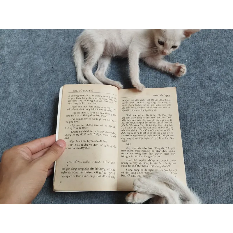 SÂN CỎ ƯỚC MƠ - ĐINH TIẾN LUYỆN 567809