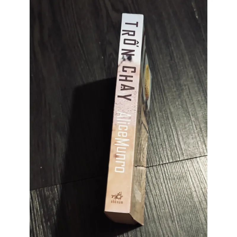 Trốn chạy - Alice Murno 745327