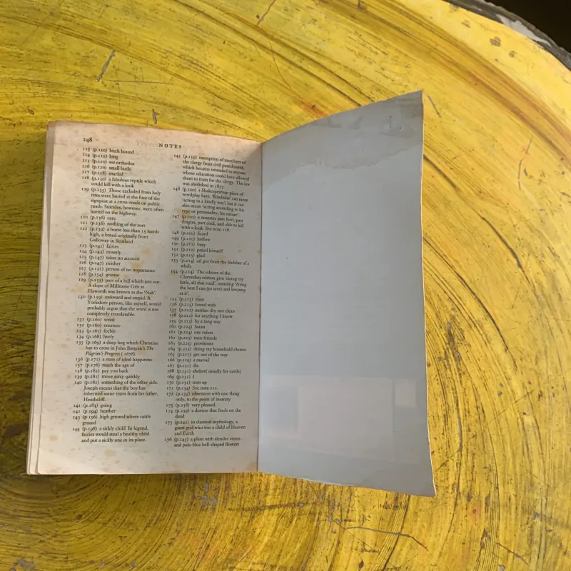 WUTHERING HEIGHTS- EMILY BRONTE 1029138