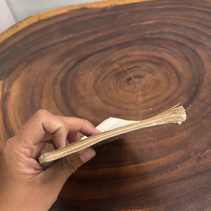 [Sách Không Đẹp] - II Văn Học: Chiều Mai Trời Đừng Mưa - Cao Xuân Sơn - 1998 1001911