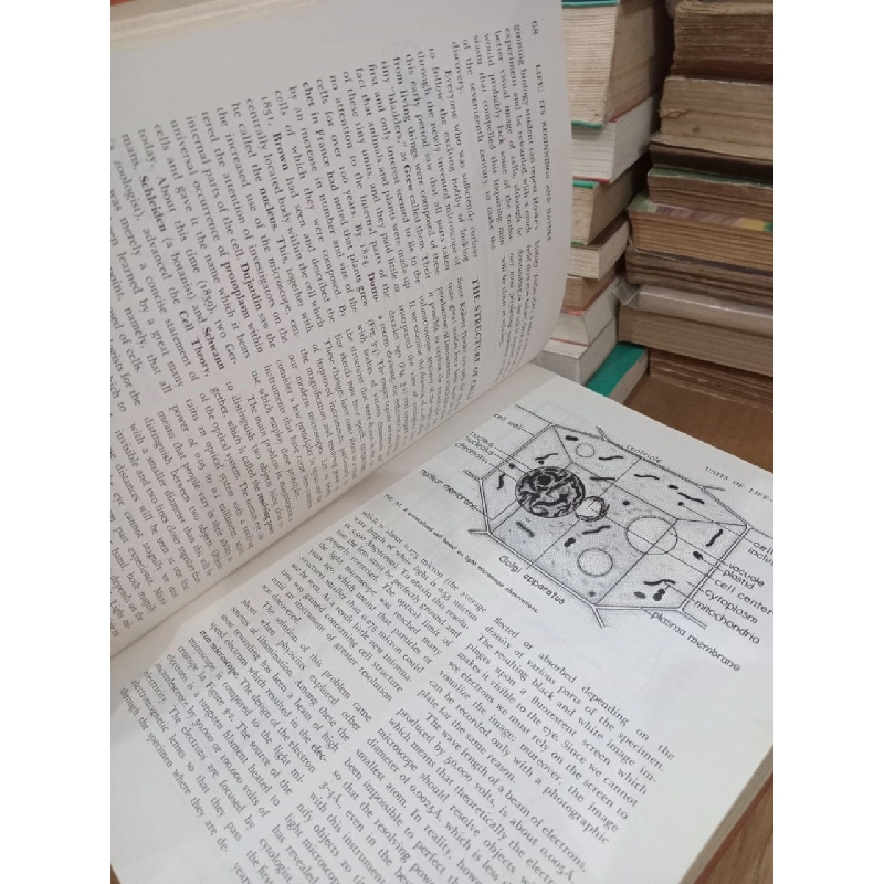 Zoology - Alfred M. Elliott 1031941